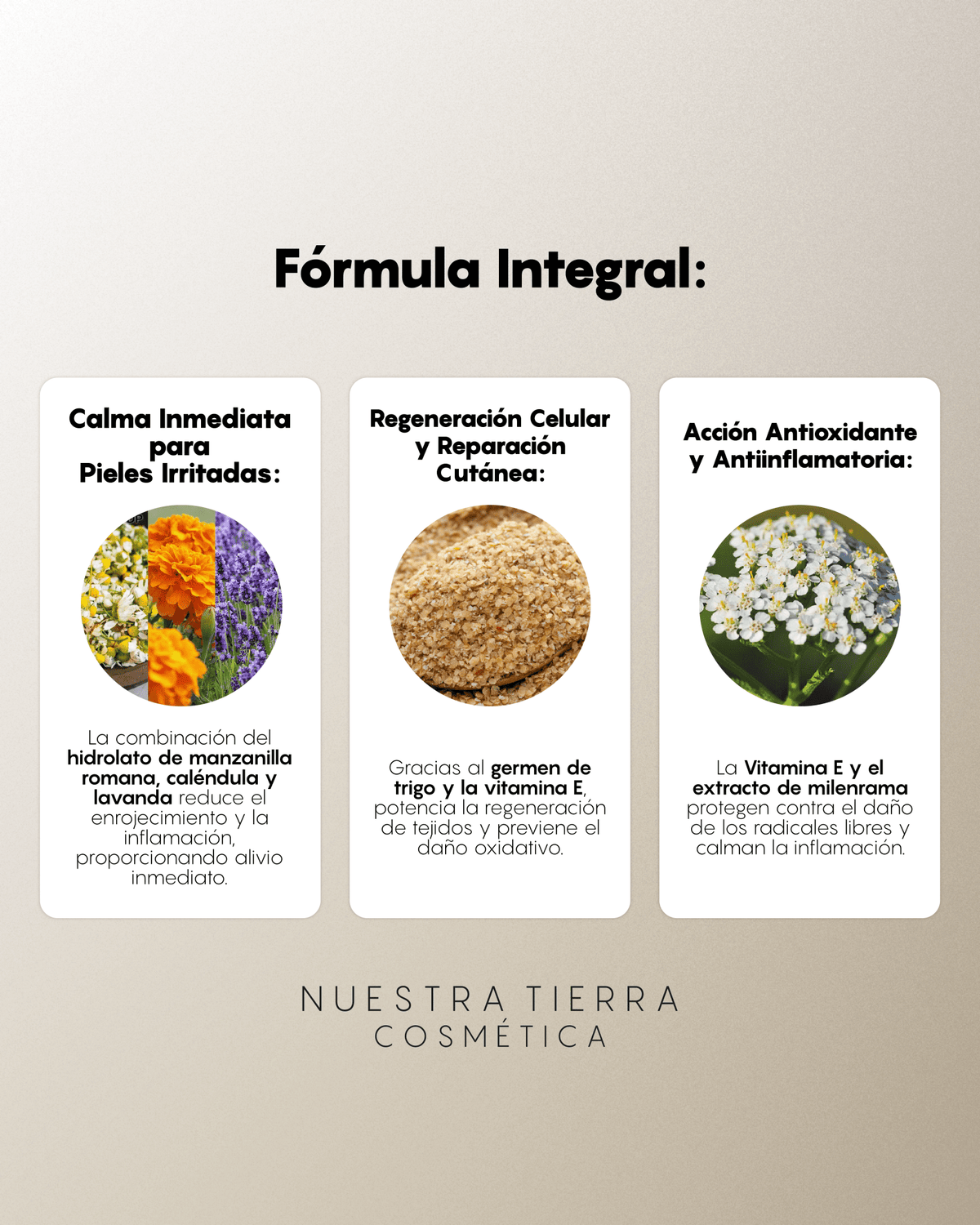 Aloe Gel - Nuestra Tierra Cosmética Ancestral