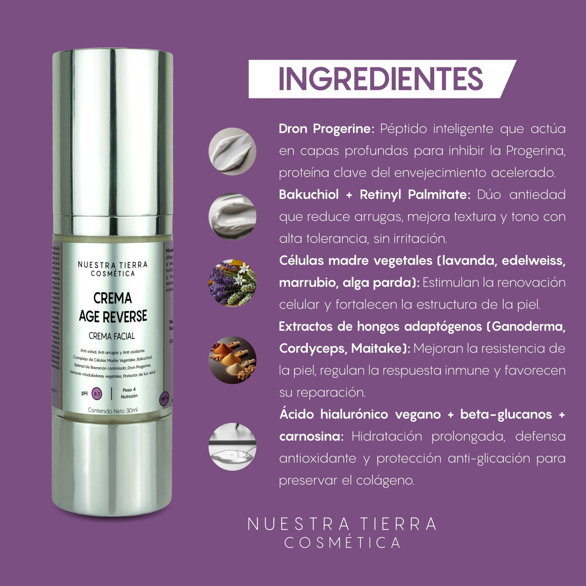 Crema Anti - arrugas Age Reverse Bakuchiol - Nuestra Tierra Cosmética Ancestral
