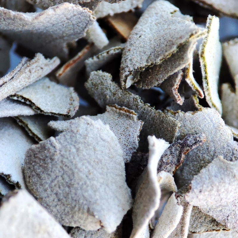 Sahúmo Salvia Blanca – Regalo Exclusivo