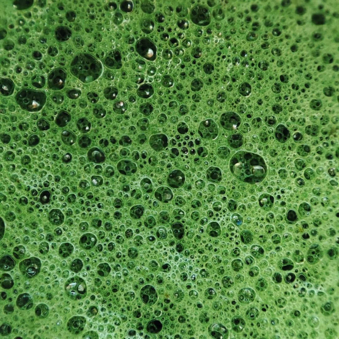 Spirulina Probiotic Powder Cleanser - Limpiador facial en polvo - Nuestra Tierra Cosmética Ancestral