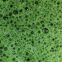 Spirulina Probiotic Powder Cleanser - Limpiador facial en polvo - Nuestra Tierra Cosmética Ancestral